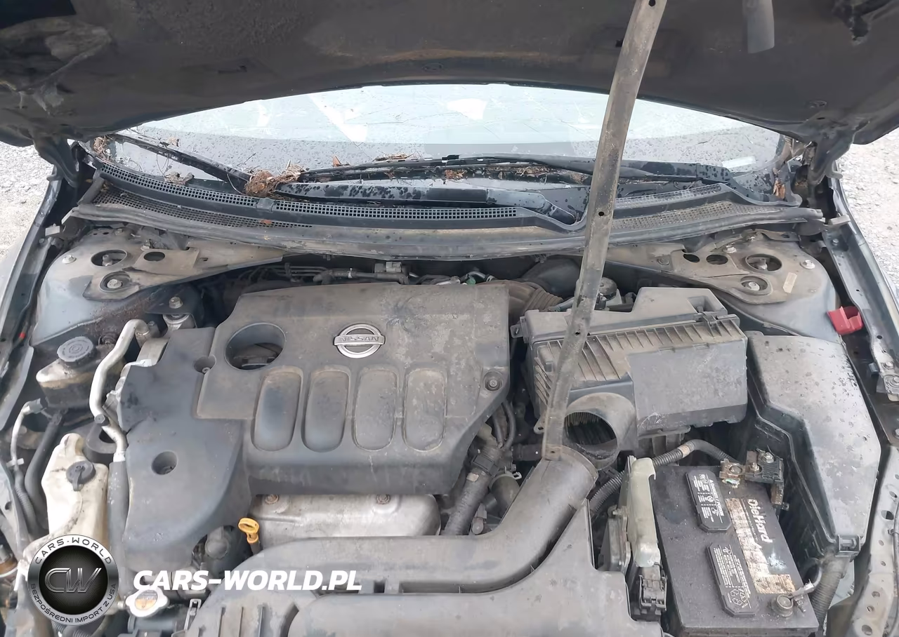 2010 Nissan Altima 2.5 S VIN:1N4AL2APXAN469786 - 10