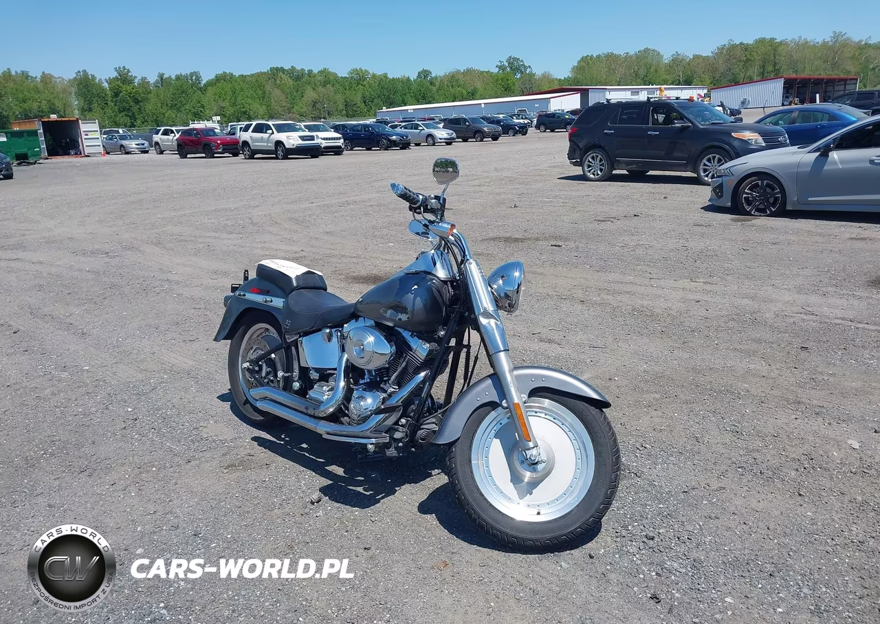 2005 Harley-Davidson Flstfi