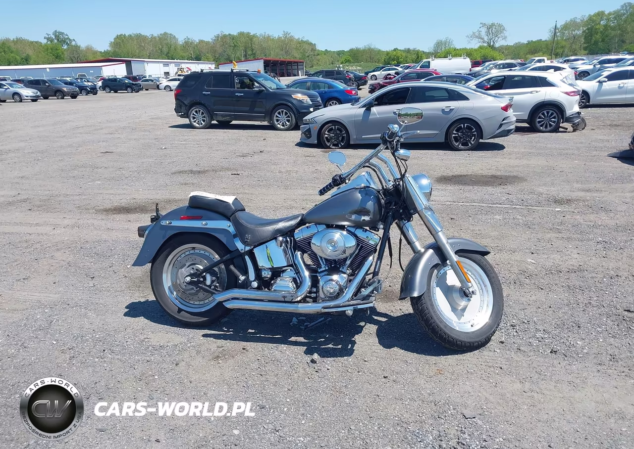 2005 Harley-Davidson Flstfi VIN:1HD1BXB115Y058154 - 11