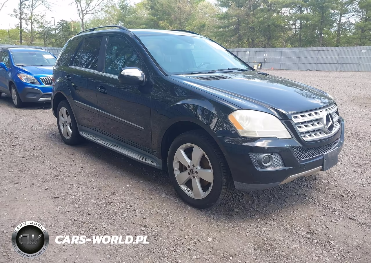 Główne zdjęcie 2010 Mercedes-Benz Ml 350 4Matic