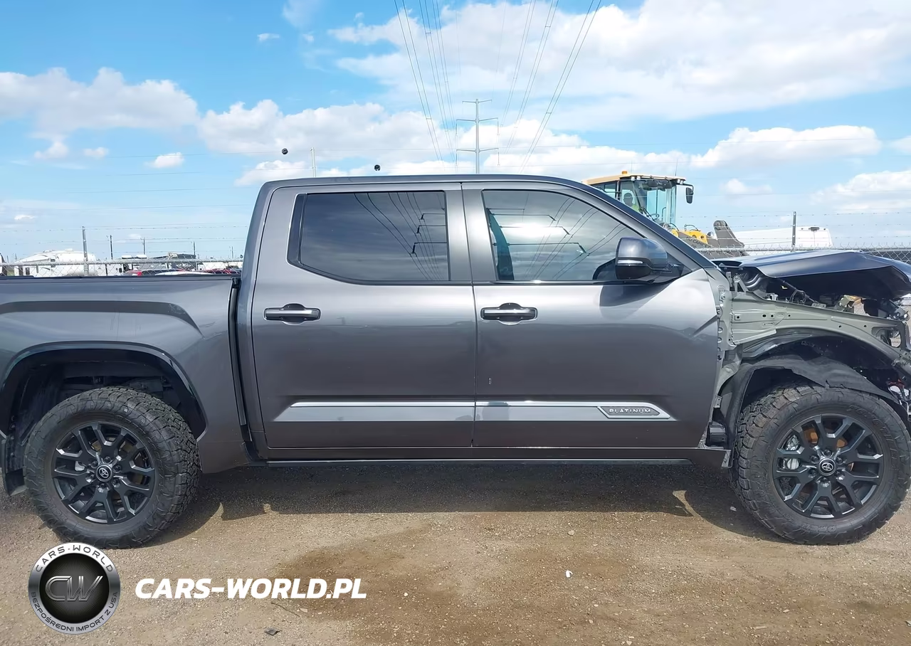 2025 Toyota Tundra Platinum VIN:5TFNA5DB5SX304799 - 14