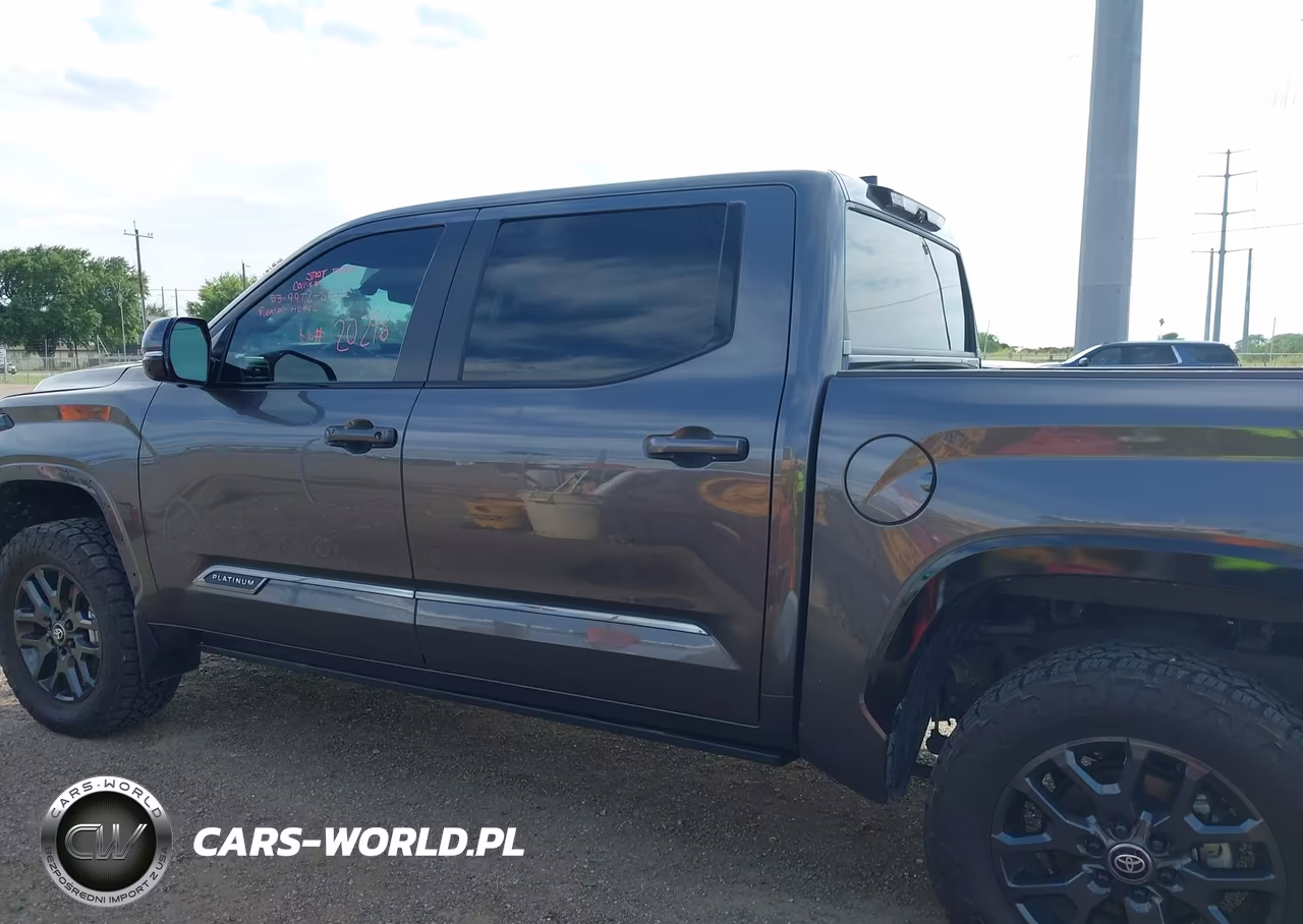 2025 Toyota Tundra Platinum VIN:5TFNA5DB5SX304799 - 15