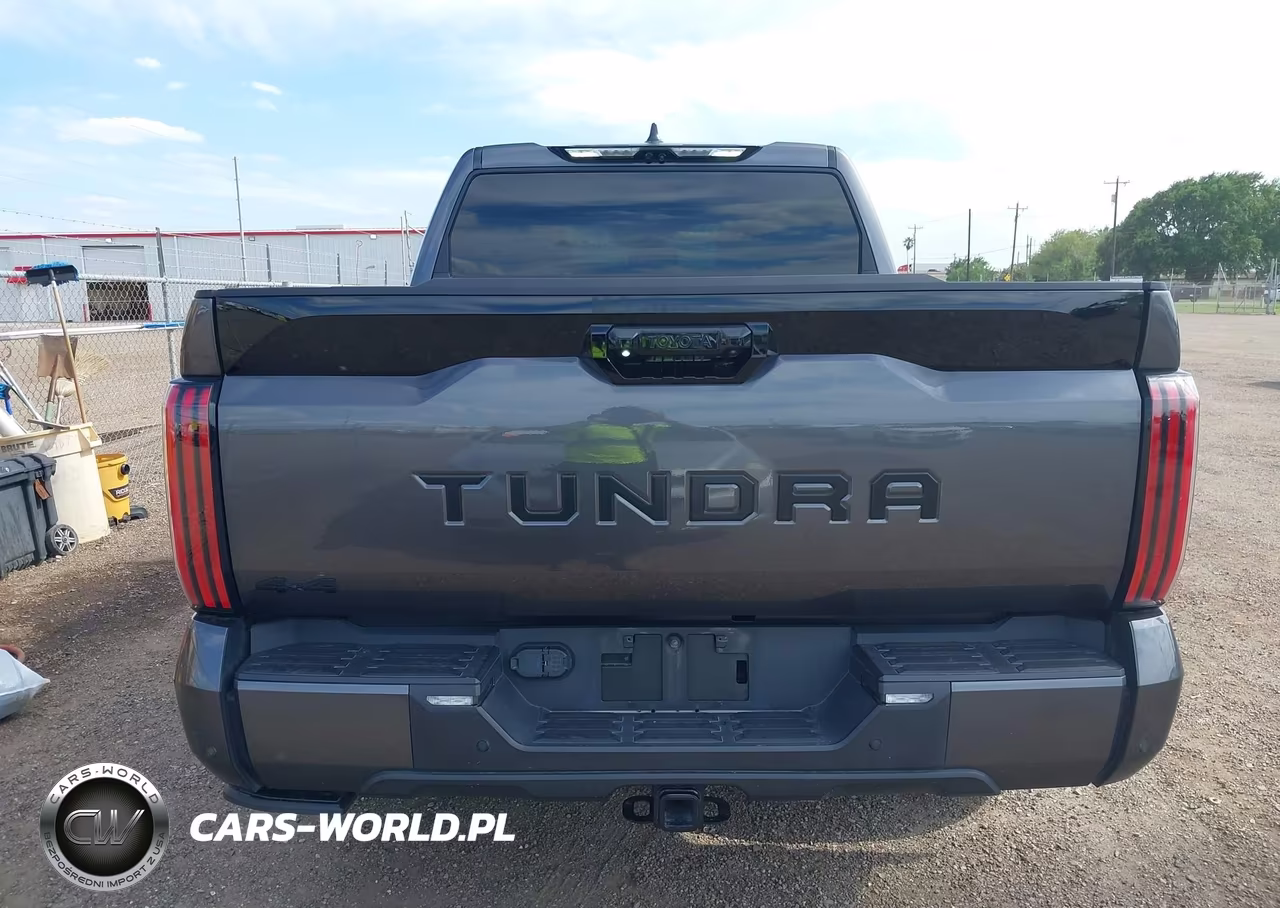 2025 Toyota Tundra Platinum VIN:5TFNA5DB5SX304799 - 17