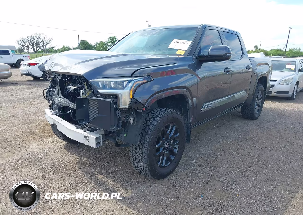 2025 Toyota Tundra Platinum VIN:5TFNA5DB5SX304799 - 2