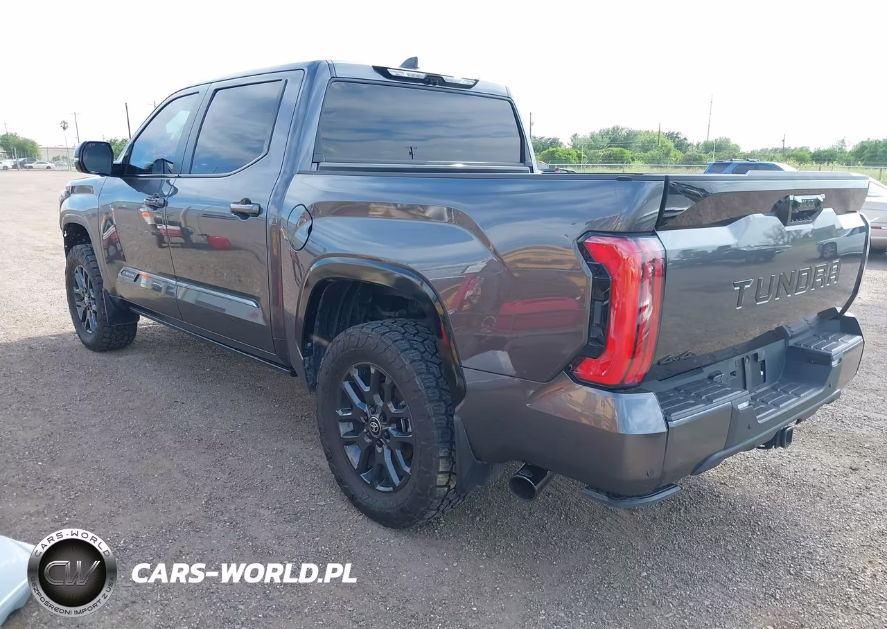 2025 Toyota Tundra Platinum VIN:5TFNA5DB5SX304799 - 3