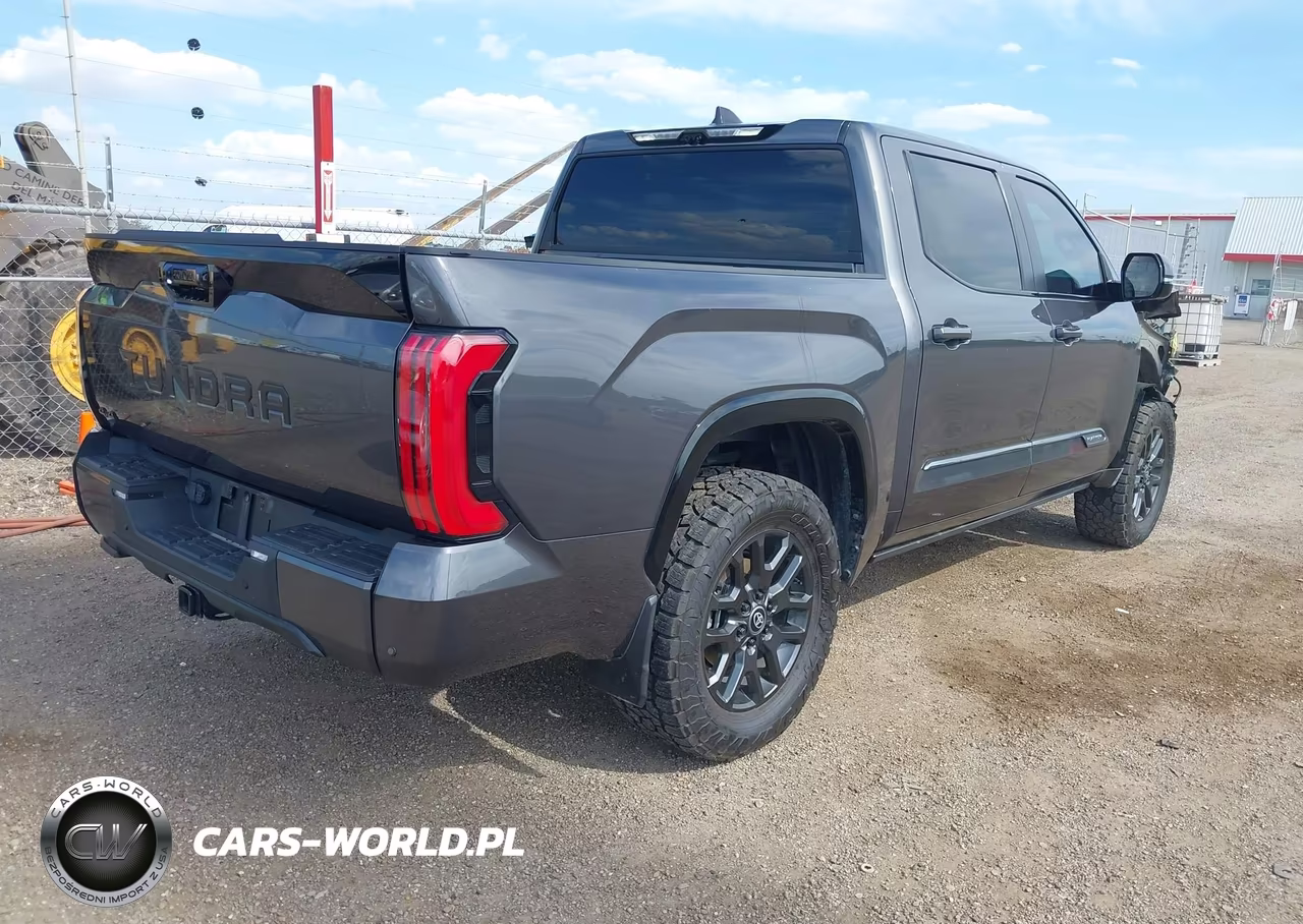 2025 Toyota Tundra Platinum VIN:5TFNA5DB5SX304799 - 4