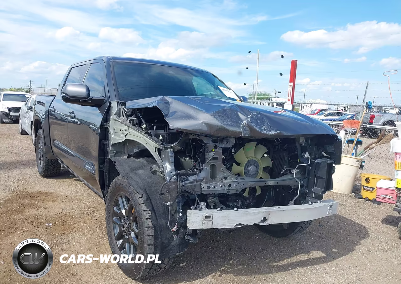 2025 Toyota Tundra Platinum VIN:5TFNA5DB5SX304799 - 6