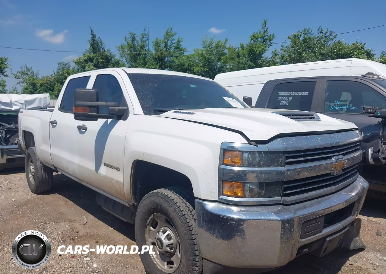 2018 Chevrolet Silverado 2500Hd Wt VIN:1GC1KUEY7JF136127 - 13