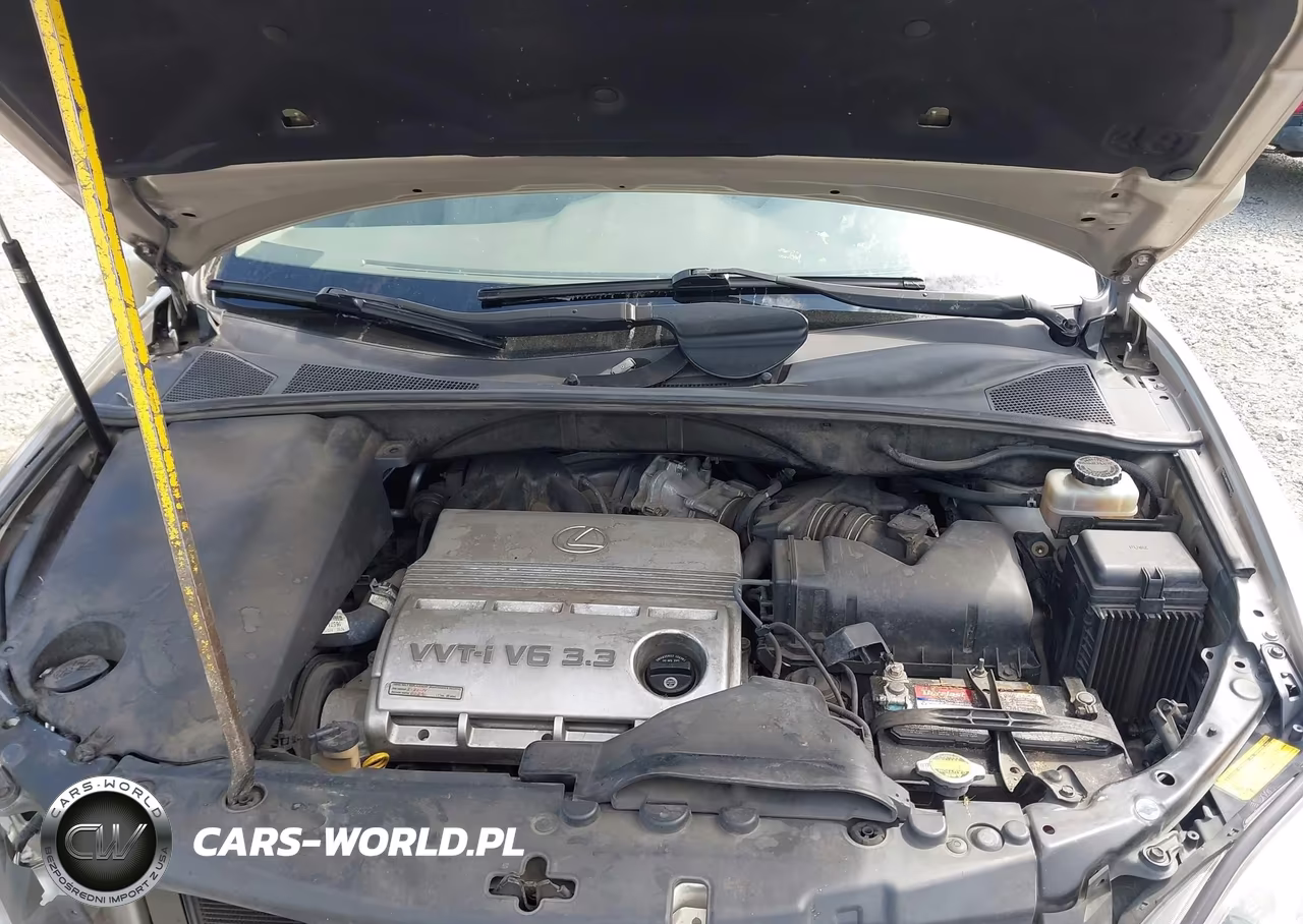 2004 Lexus Rx 330 VIN:JTJHA31U140062562 - 10