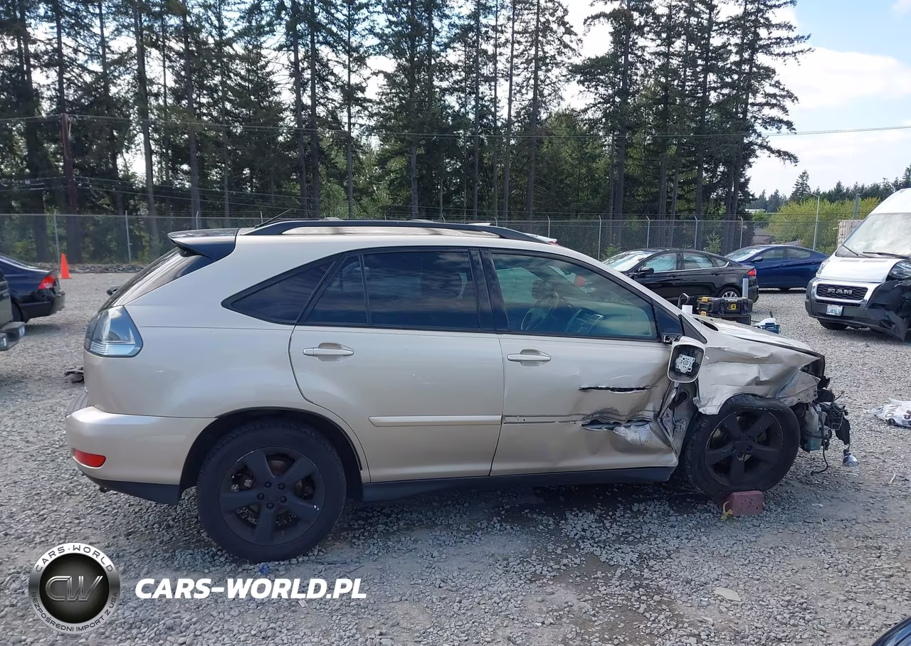 2004 Lexus Rx 330 VIN:JTJHA31U140062562 - 14