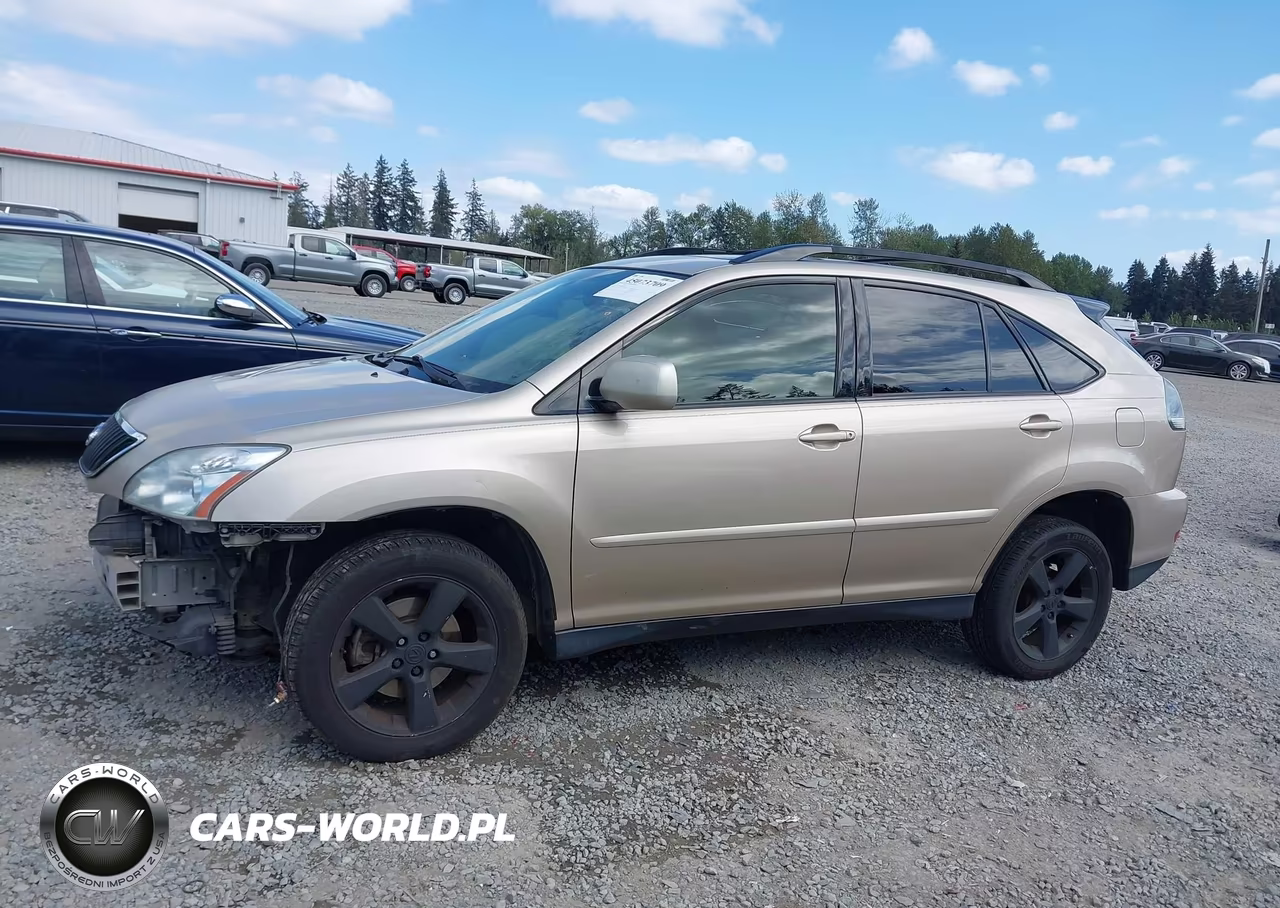 2004 Lexus Rx 330 VIN:JTJHA31U140062562 - 15