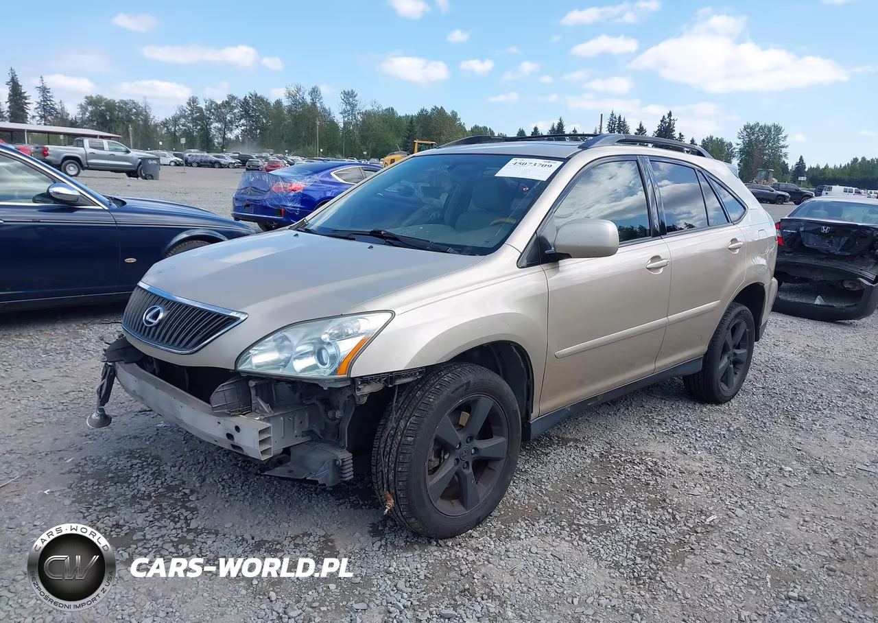 2004 Lexus Rx 330 VIN:JTJHA31U140062562 - 2