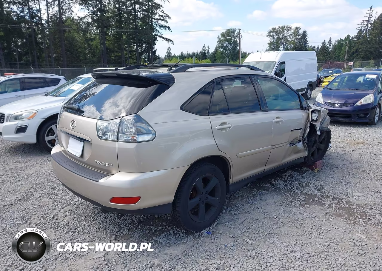 2004 Lexus Rx 330 VIN:JTJHA31U140062562 - 4