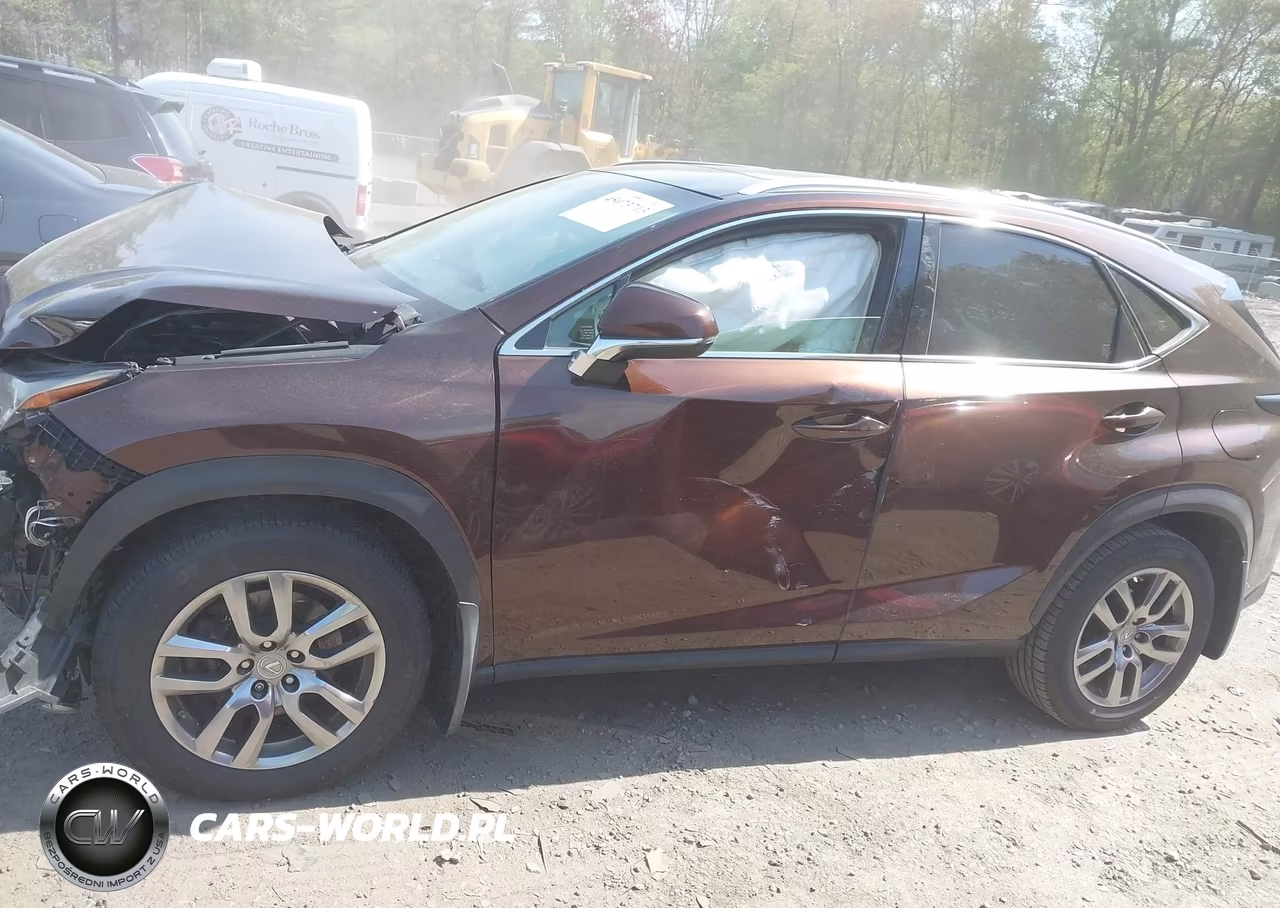 2016 Lexus Nx 200T VIN:JTJBARBZ1G2062010 - 14