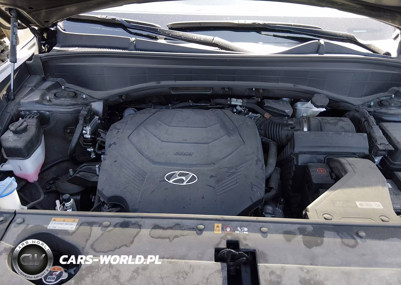 2024 Hyundai Palisade Sel VIN:KM8R24GE2RU795824 - 10