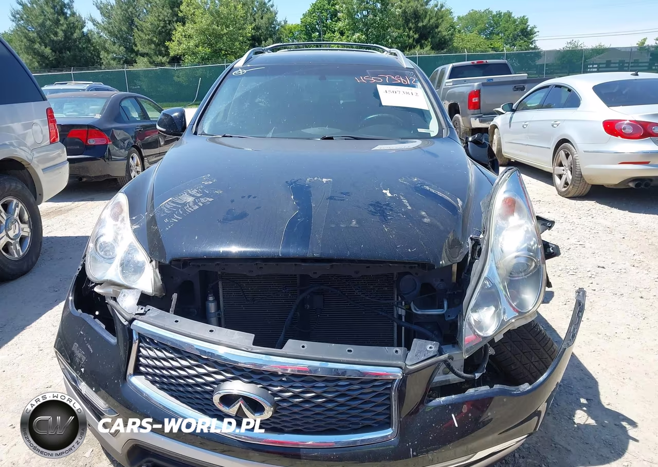 2016 Infiniti Qx50 VIN:JN1BJ0RR7GM269903 - 11