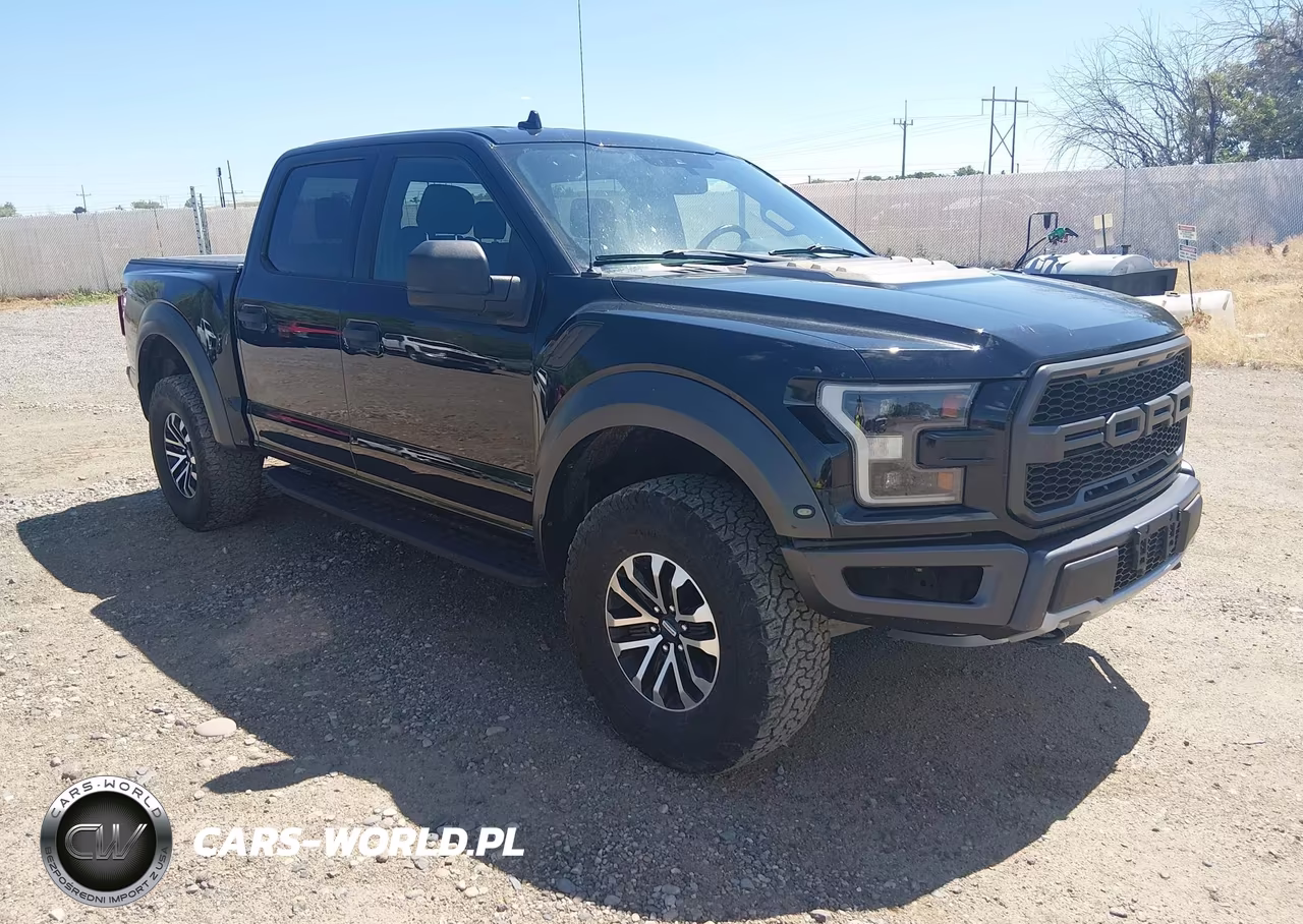 2019 Ford F-150 Raptor – zdjęcie 1 z 15