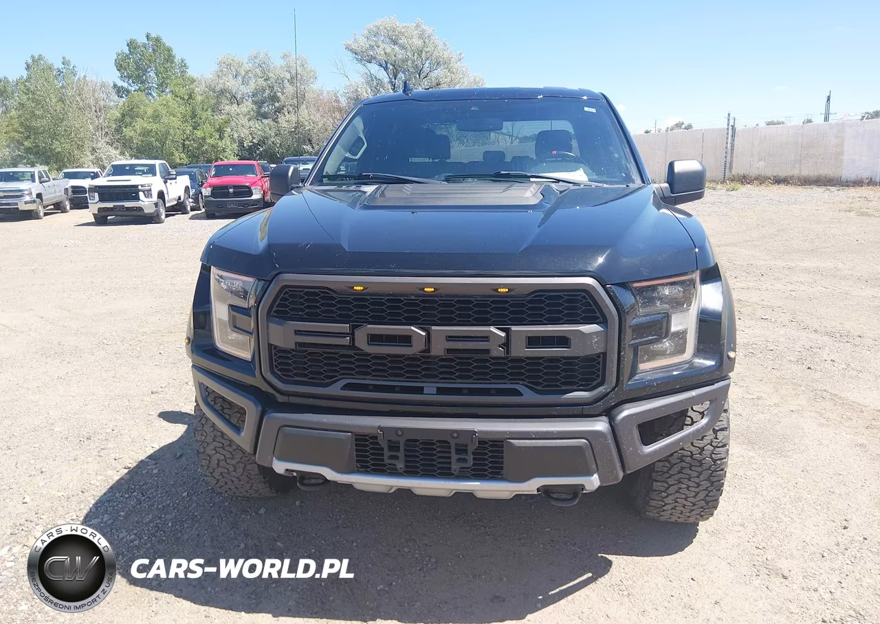2019 Ford F-150 Raptor VIN:1FTFW1RG7KFA43927 - 11