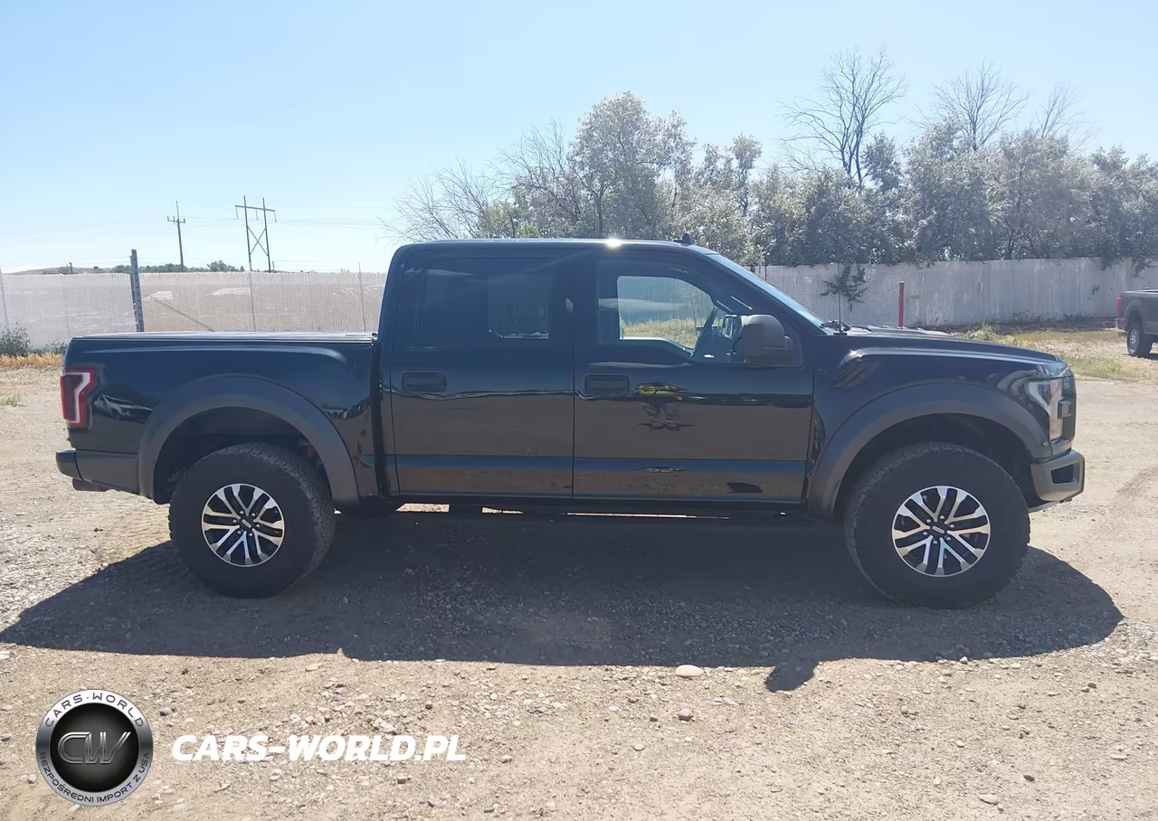 2019 Ford F-150 Raptor VIN:1FTFW1RG7KFA43927 - 12
