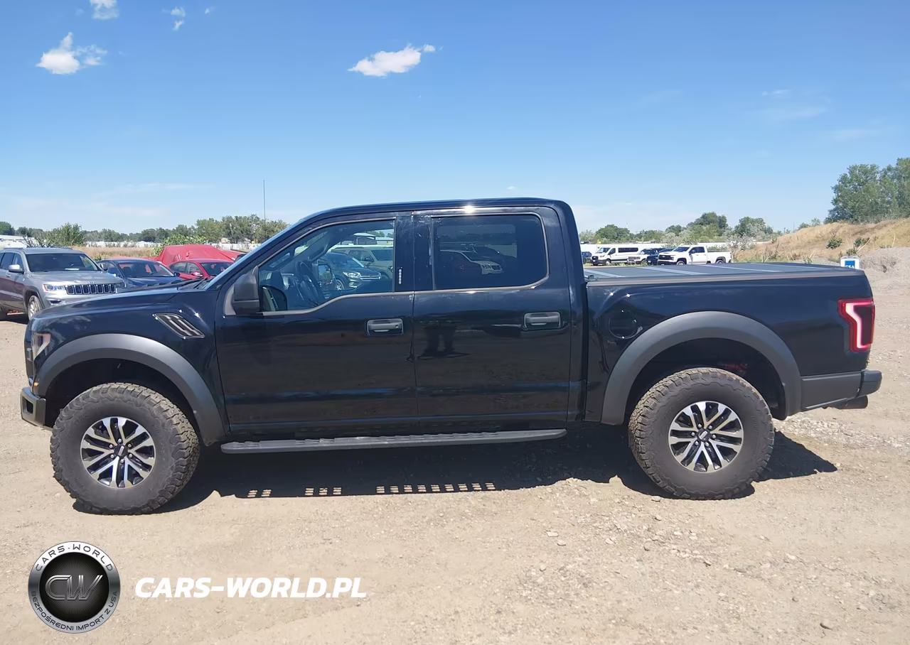 2019 Ford F-150 Raptor VIN:1FTFW1RG7KFA43927 - 13