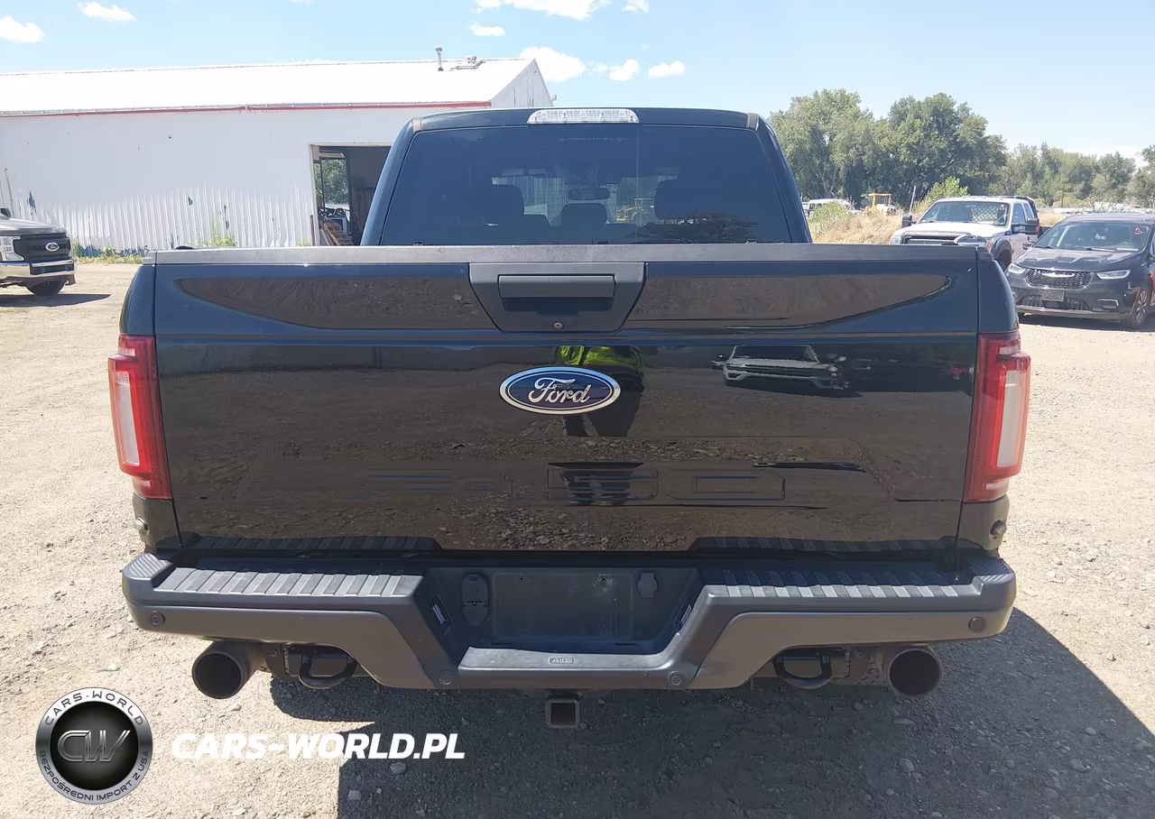 2019 Ford F-150 Raptor VIN:1FTFW1RG7KFA43927 - 15