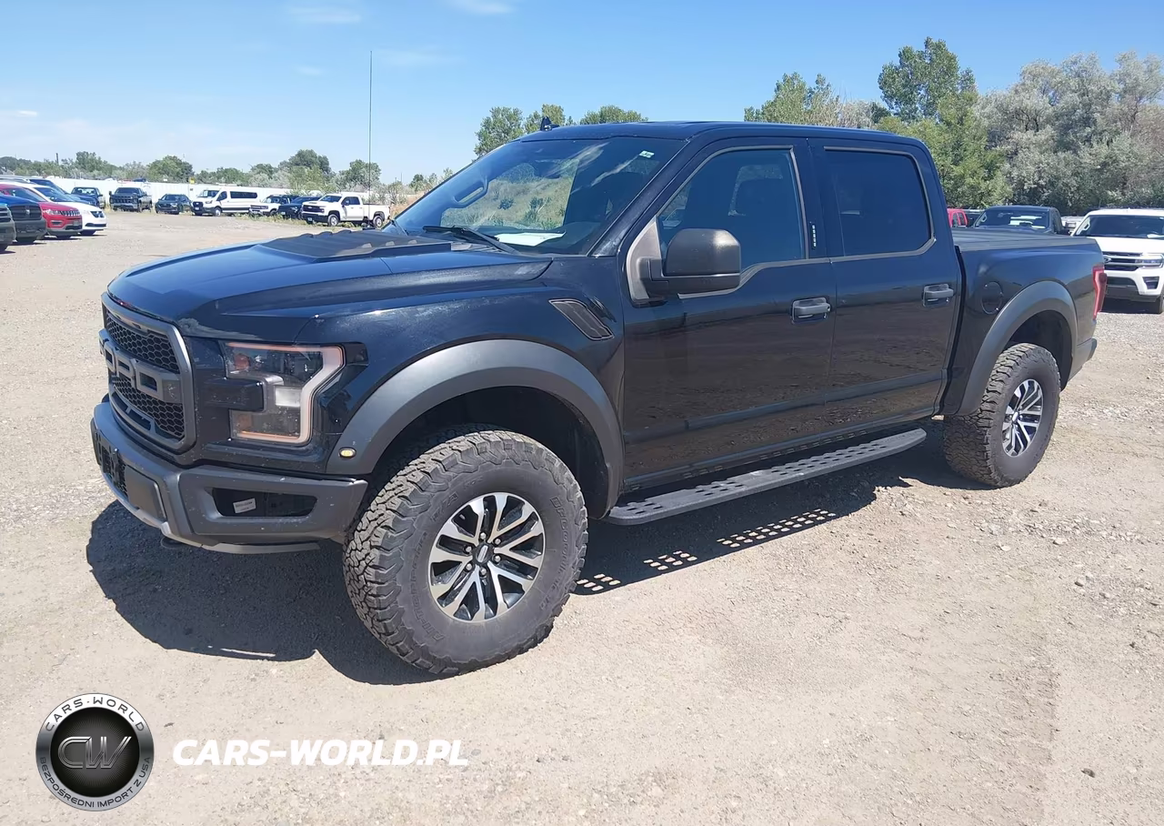 2019 Ford F-150 Raptor VIN:1FTFW1RG7KFA43927 - 2