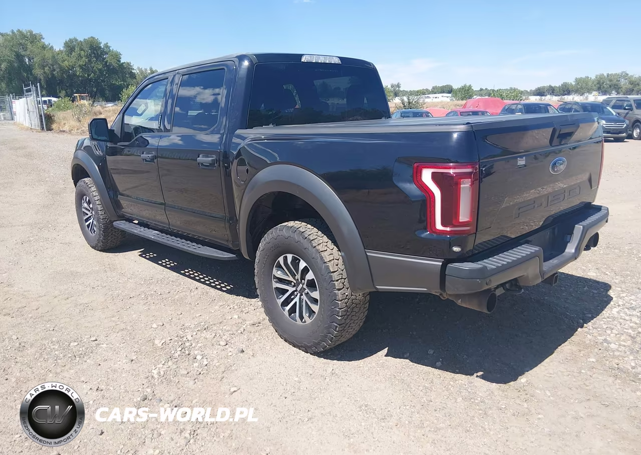 2019 Ford F-150 Raptor VIN:1FTFW1RG7KFA43927 - 3