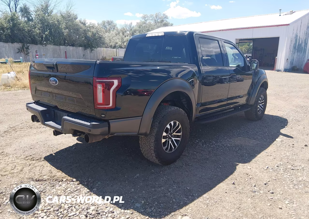 2019 Ford F-150 Raptor VIN:1FTFW1RG7KFA43927 - 4
