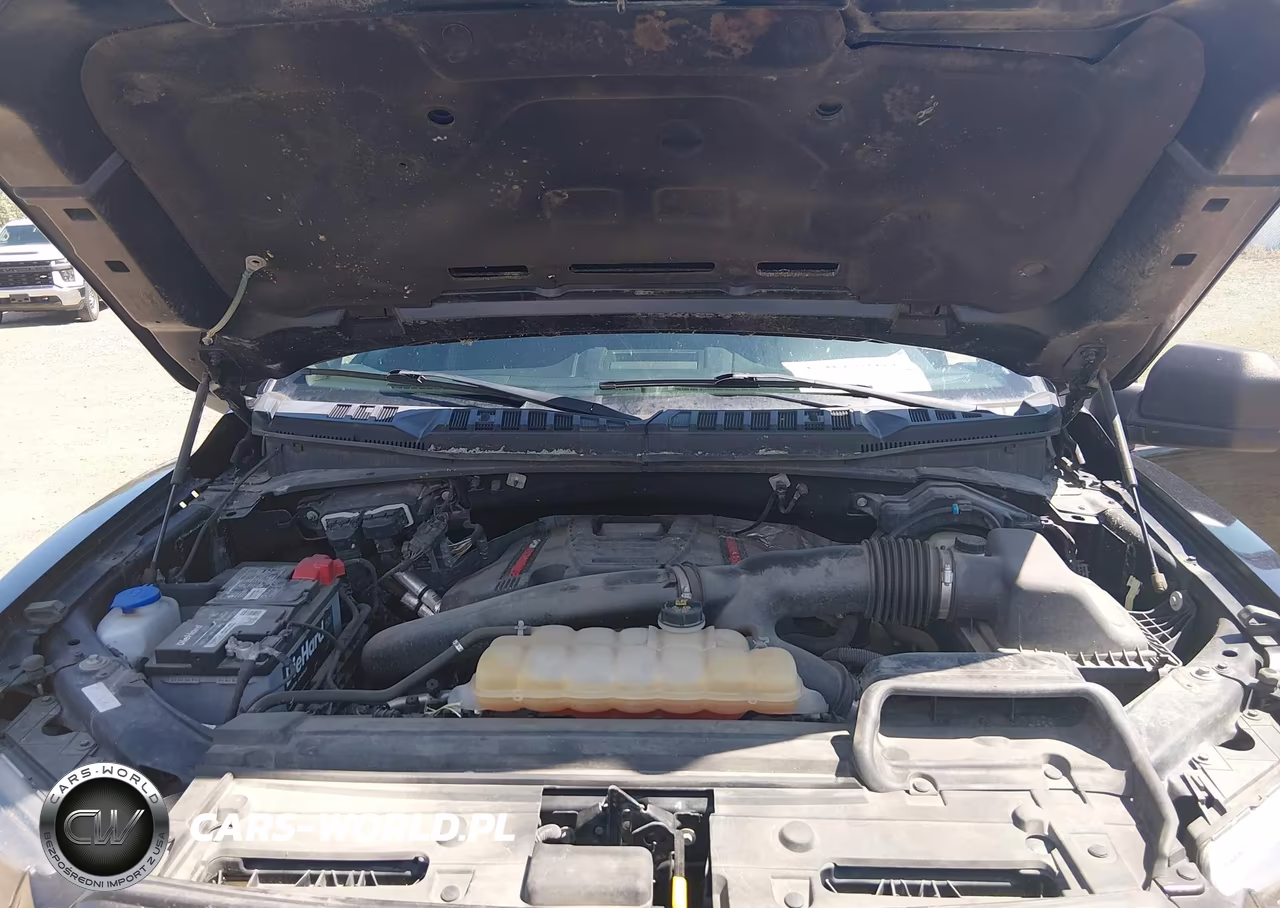 2019 Ford F-150 Raptor VIN:1FTFW1RG7KFA43927 - 9