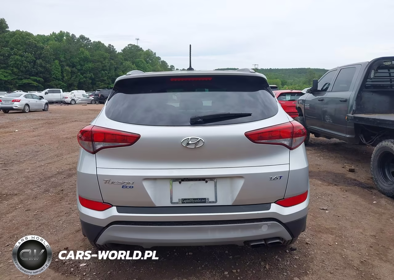 2017 Hyundai Tucson Eco VIN:KM8J33A26HU353873 - 17