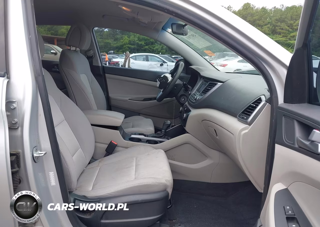2017 Hyundai Tucson Eco VIN:KM8J33A26HU353873 - 5