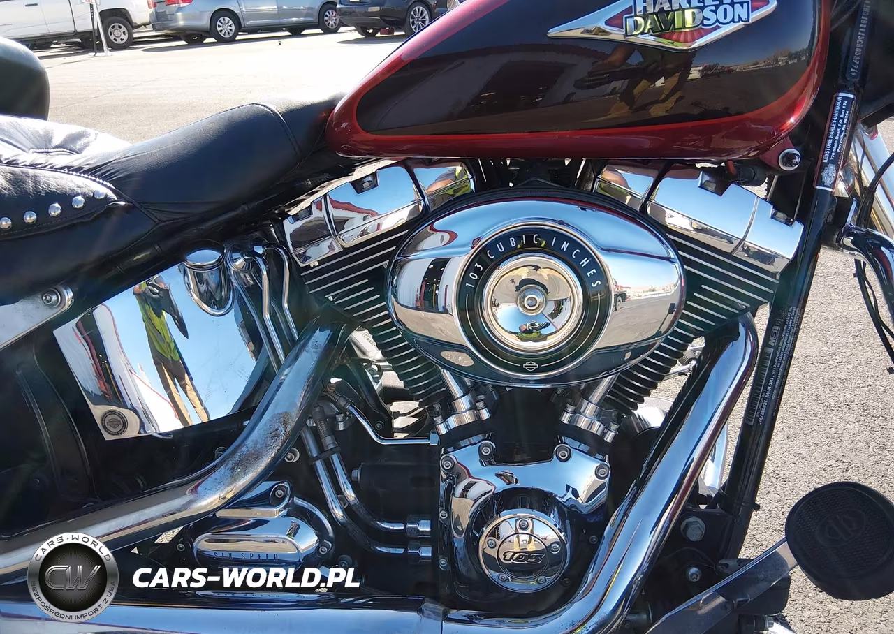 2012 Harley-Davidson Flstc Heritage Softail Classic VIN:1HD1BWV13CB032791 - 8