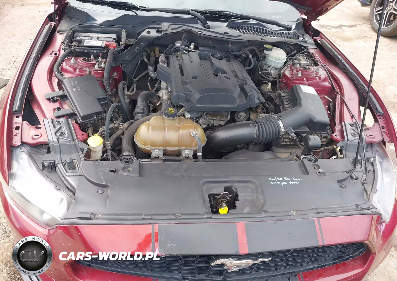 2015 Ford Mustang Ecoboost VIN:1FA6P8TH2F5318077 - 10