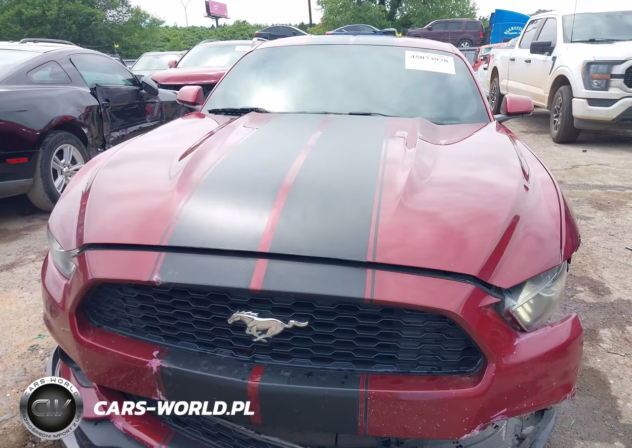 2015 Ford Mustang Ecoboost VIN:1FA6P8TH2F5318077 - 13