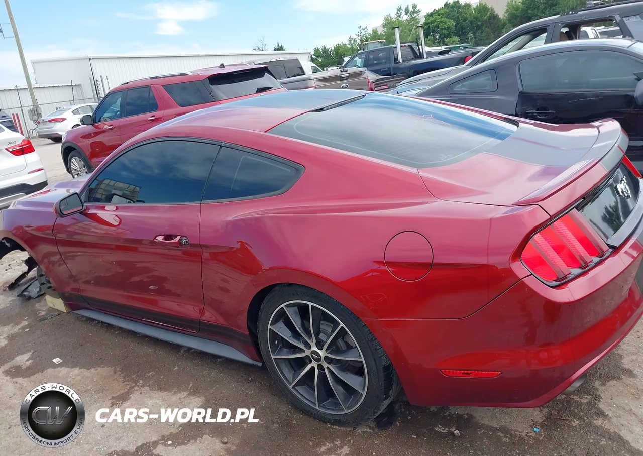 2015 Ford Mustang Ecoboost VIN:1FA6P8TH2F5318077 - 15