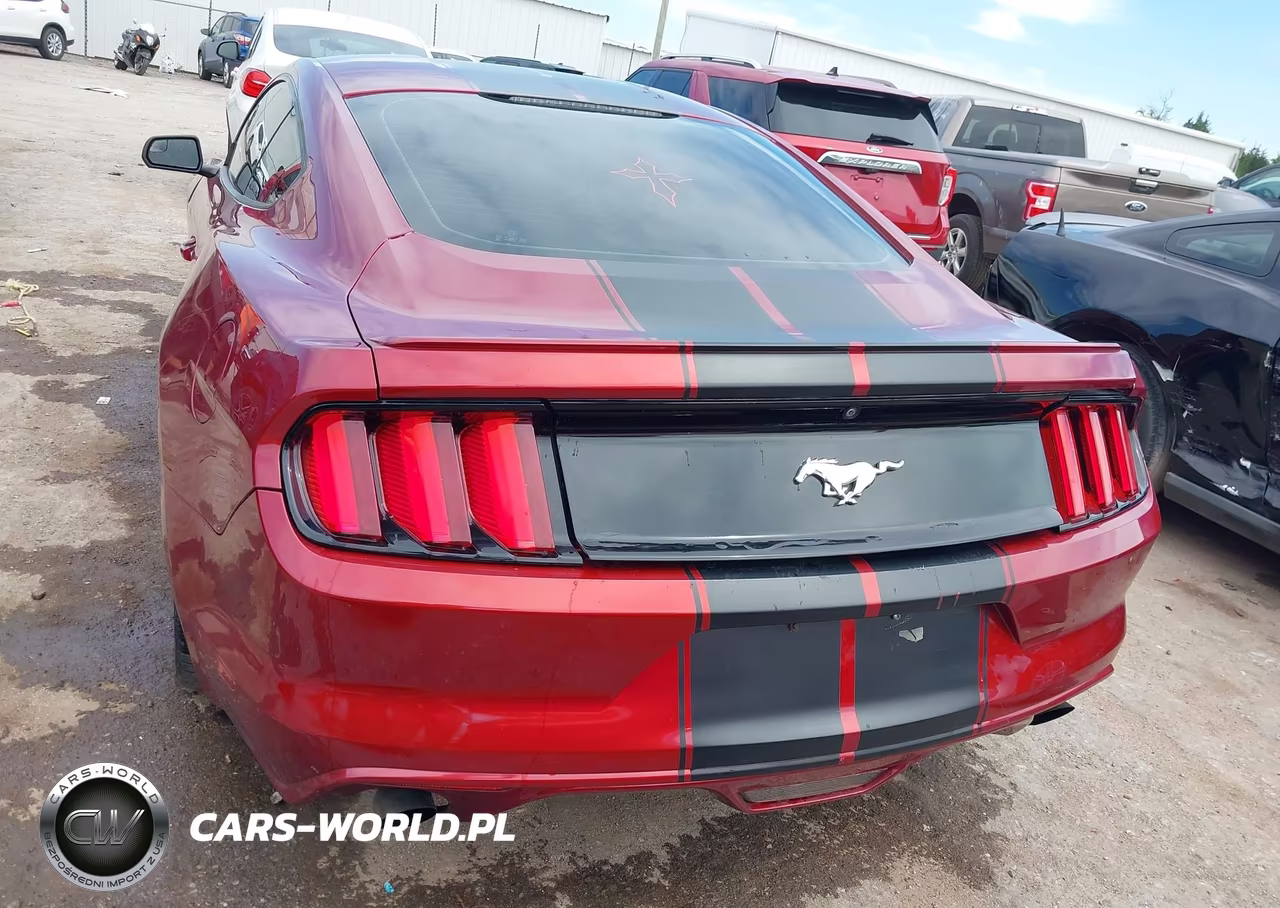 2015 Ford Mustang Ecoboost VIN:1FA6P8TH2F5318077 - 17