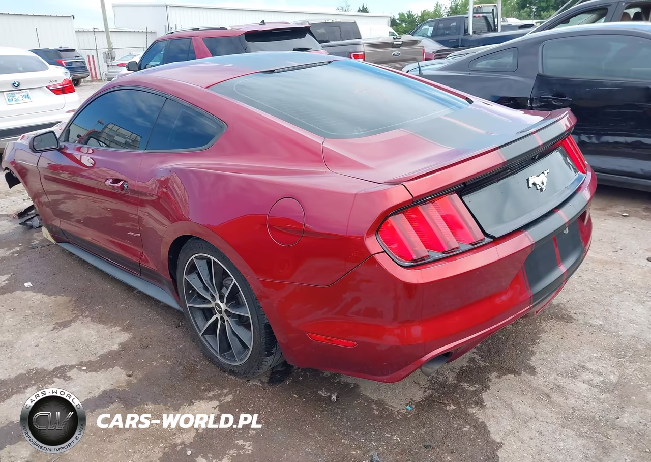 2015 Ford Mustang Ecoboost VIN:1FA6P8TH2F5318077 - 3