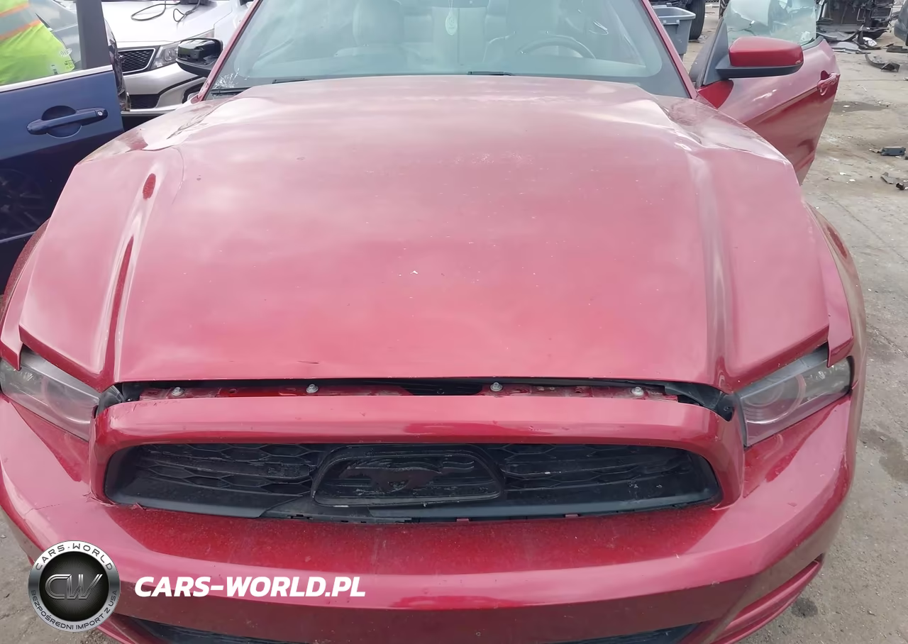 2014 Ford Mustang VIN:1ZVBP8AM7E5291561 - 10