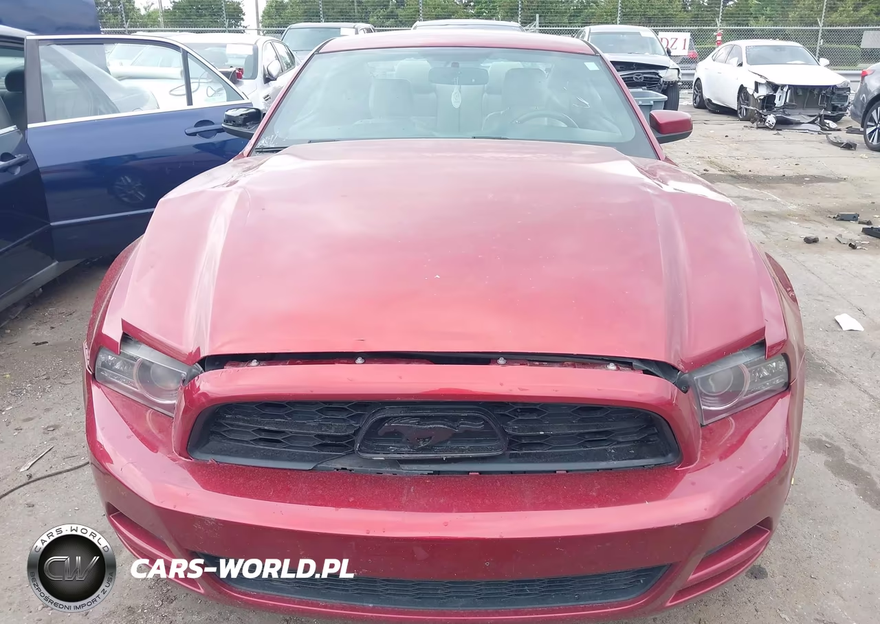 2014 Ford Mustang VIN:1ZVBP8AM7E5291561 - 12