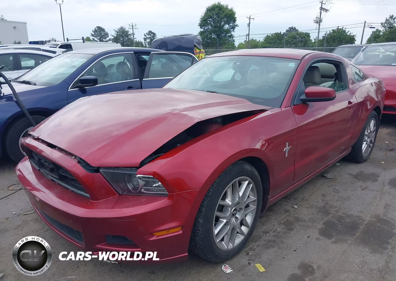 2014 Ford Mustang VIN:1ZVBP8AM7E5291561 - 2