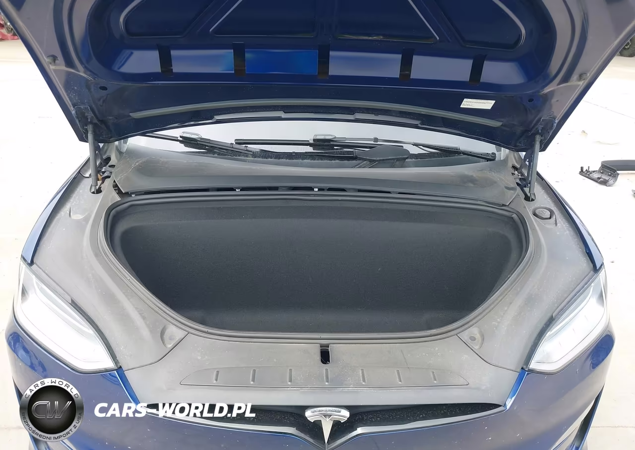 2023 Tesla Model X Dual Motor All-Wheel Drive-Standard Range VIN:7SAXCBE57PF381740 - 10