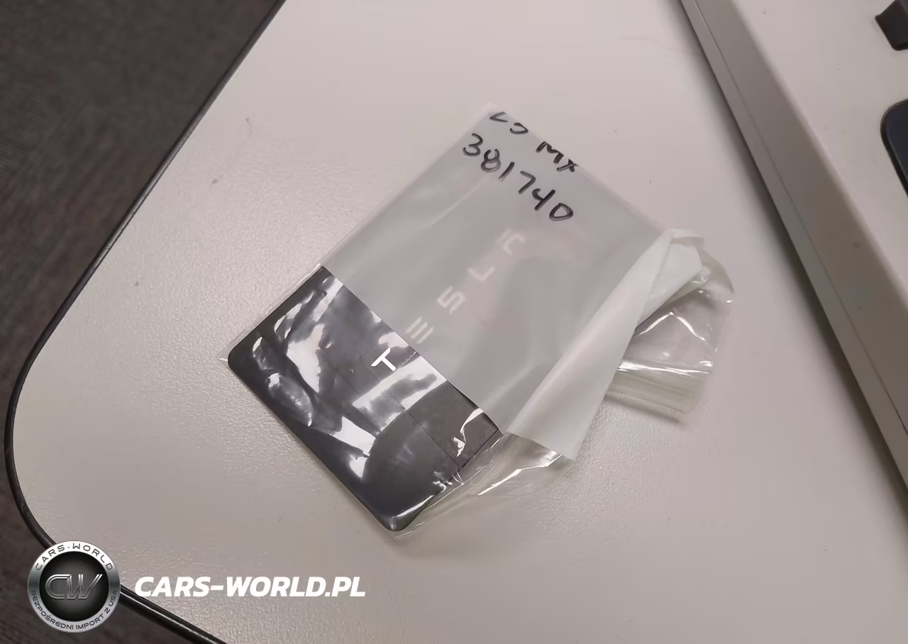 2023 Tesla Model X Dual Motor All-Wheel Drive-Standard Range VIN:7SAXCBE57PF381740 - 11