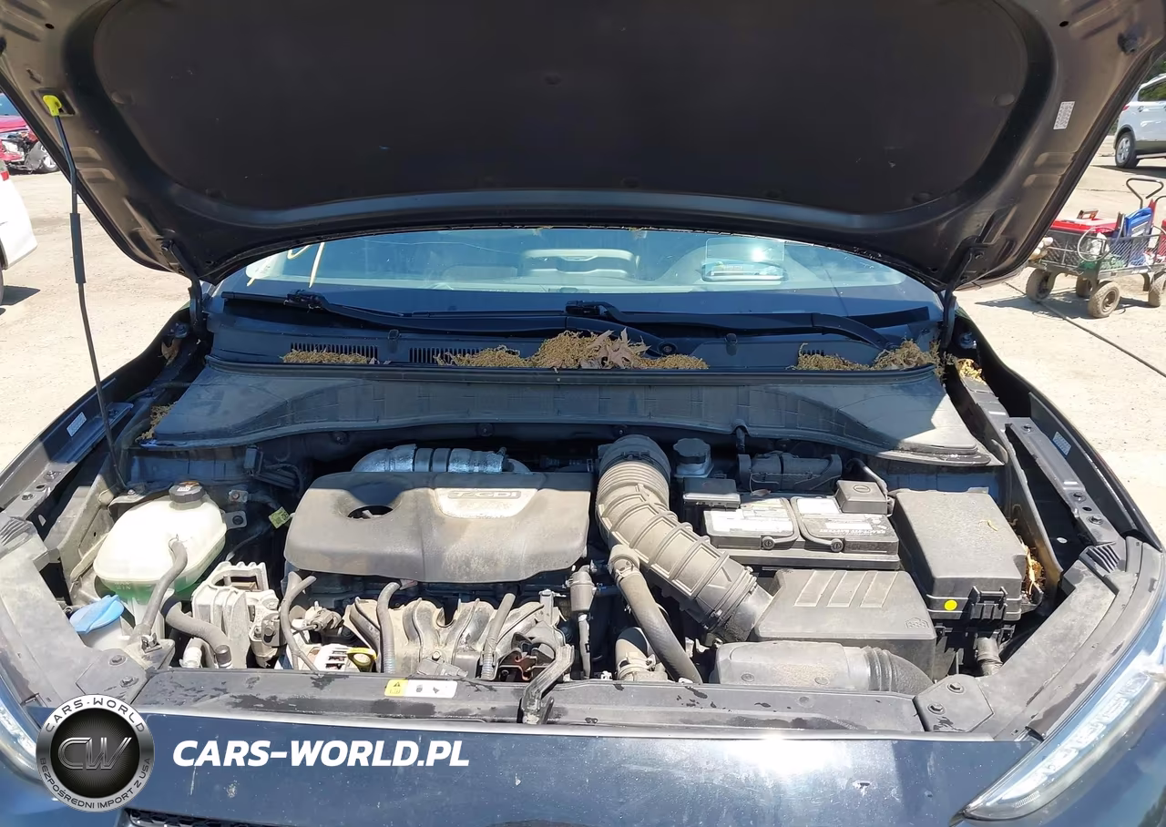 2020 Hyundai Kona Ultimate VIN:KM8K5CA59LU516176 - 10