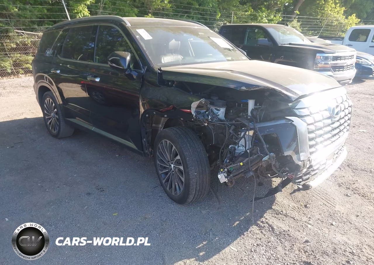 2025 Hyundai Palisade Calligraphy – zdjęcie 1 z 17