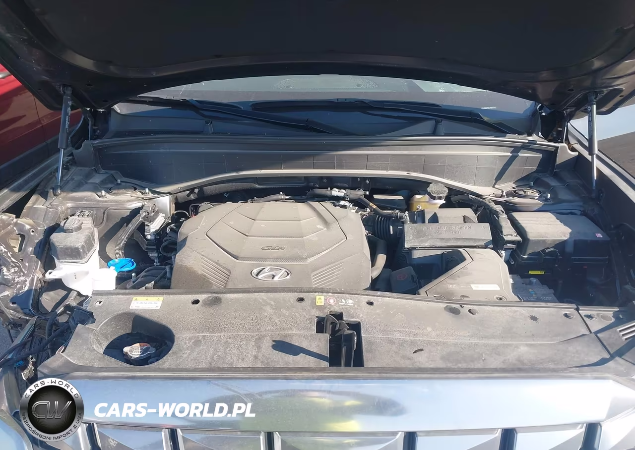 2025 Hyundai Palisade Calligraphy VIN:KM8R7DGE7SU815752 - 10