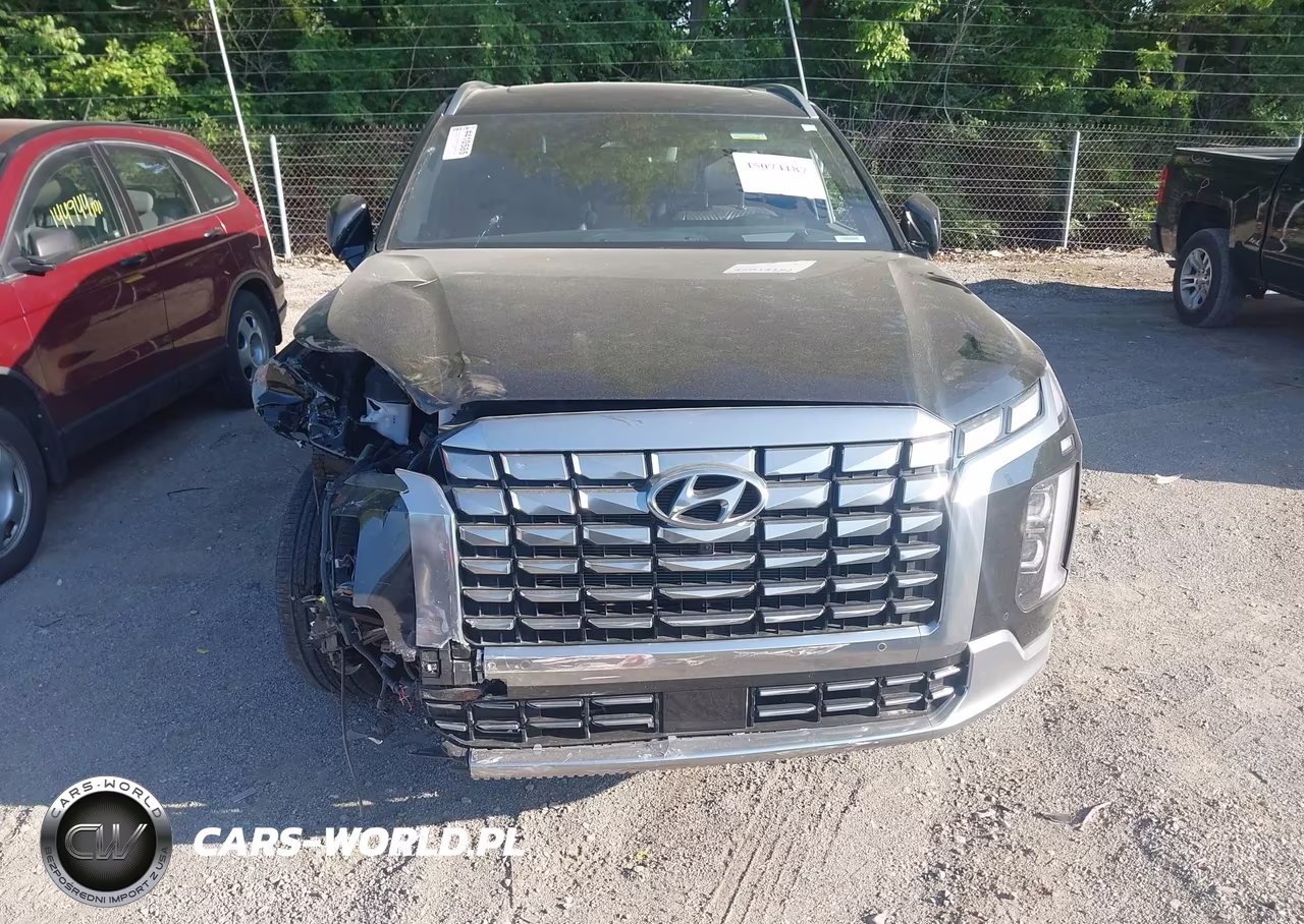 2025 Hyundai Palisade Calligraphy VIN:KM8R7DGE7SU815752 - 12
