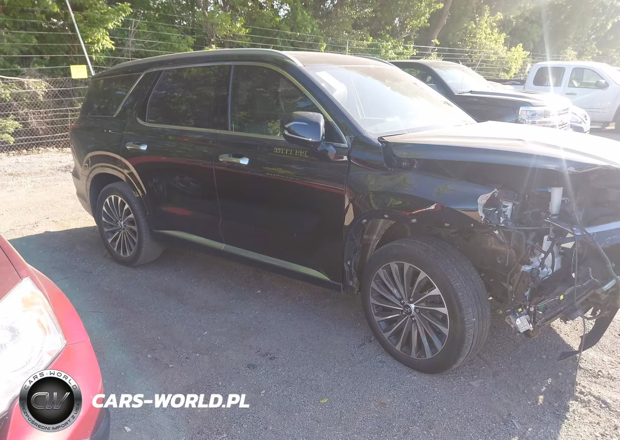 2025 Hyundai Palisade Calligraphy VIN:KM8R7DGE7SU815752 - 13