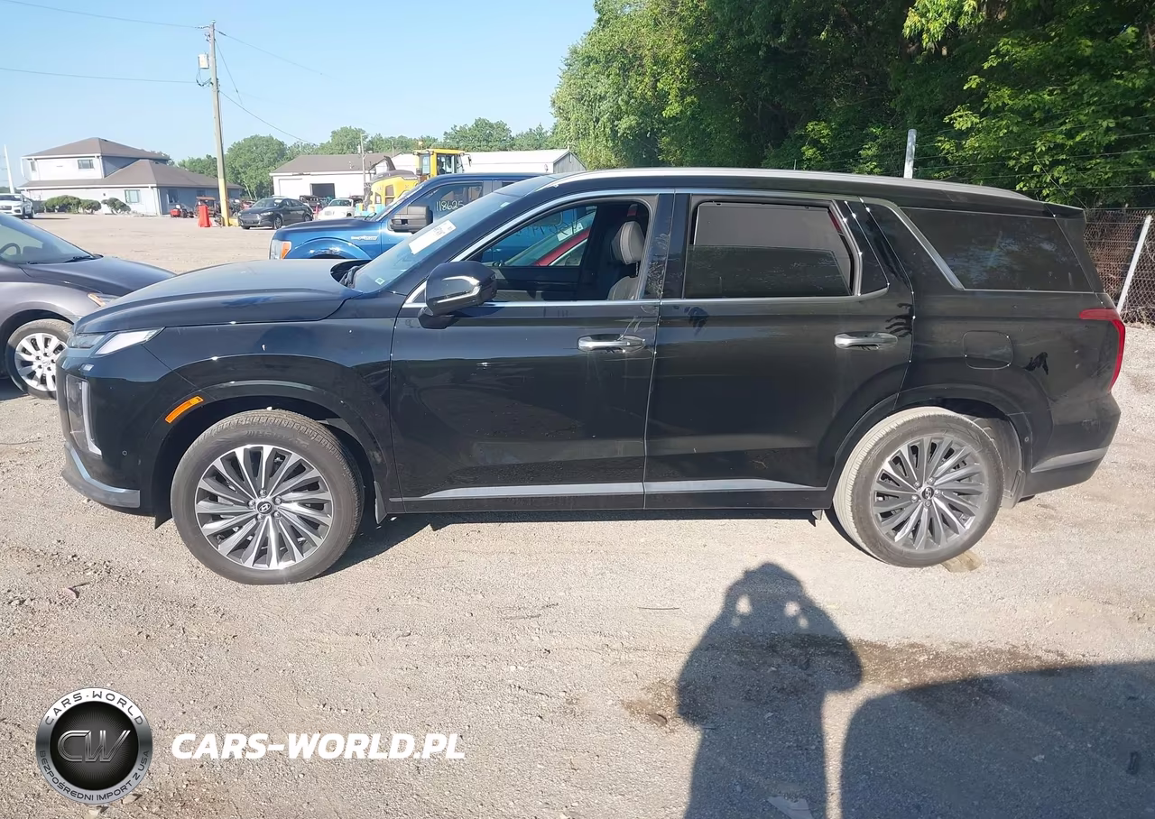 2025 Hyundai Palisade Calligraphy VIN:KM8R7DGE7SU815752 - 14