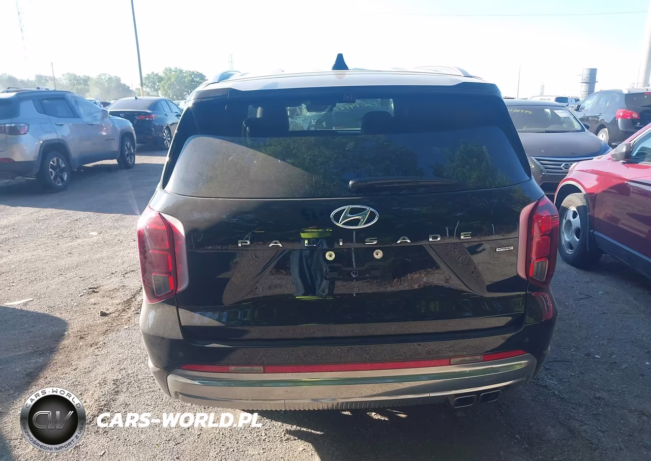 2025 Hyundai Palisade Calligraphy VIN:KM8R7DGE7SU815752 - 16