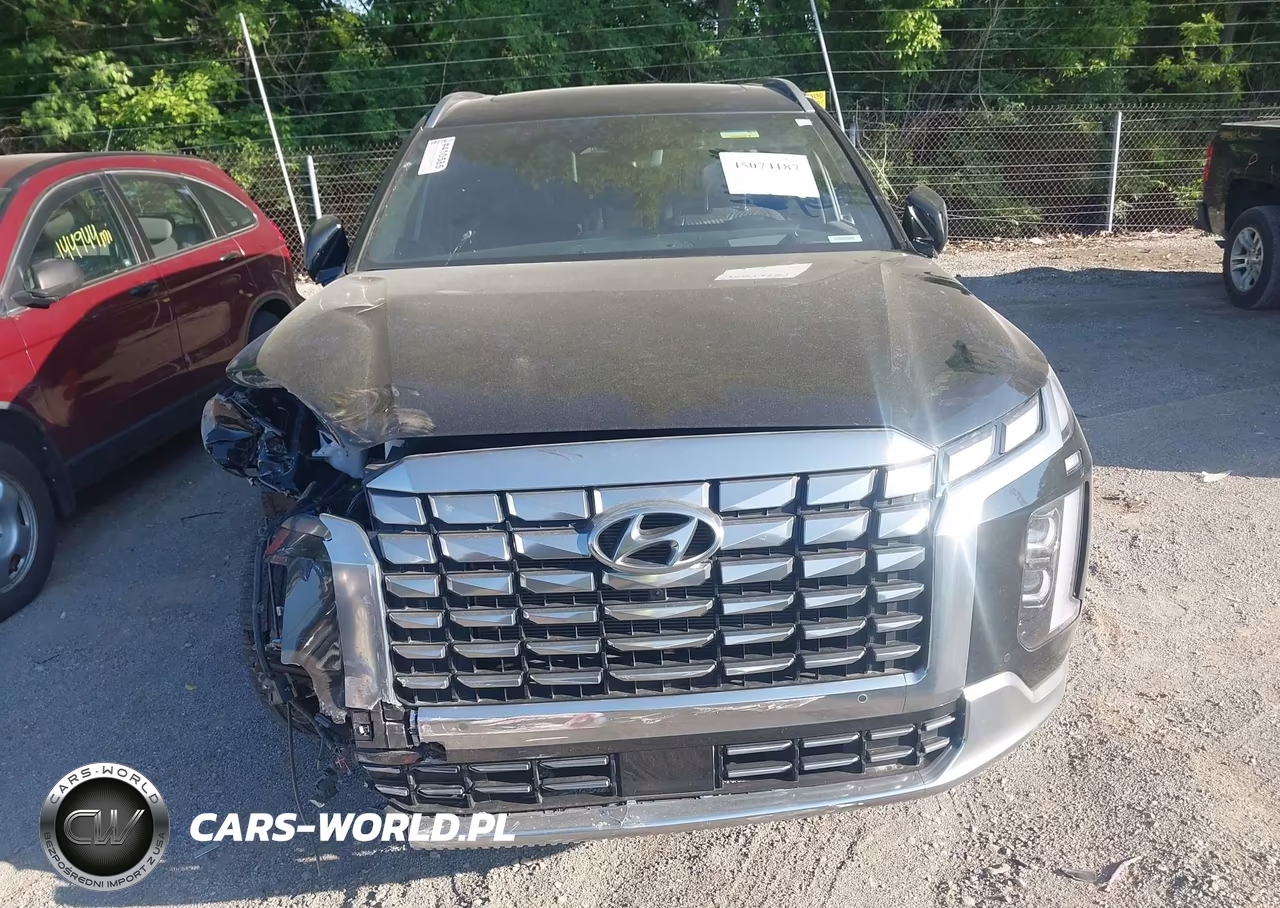 2025 Hyundai Palisade Calligraphy VIN:KM8R7DGE7SU815752 - 17